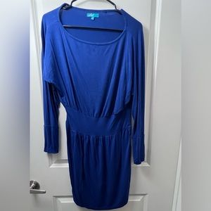 Long sleeve blue dress